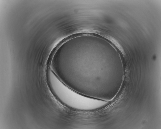 X0000095550972200712211406