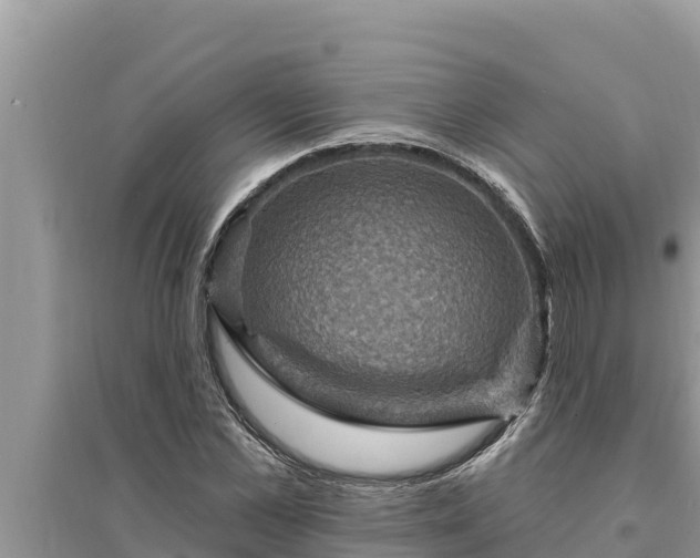 X0000095550973200712211406