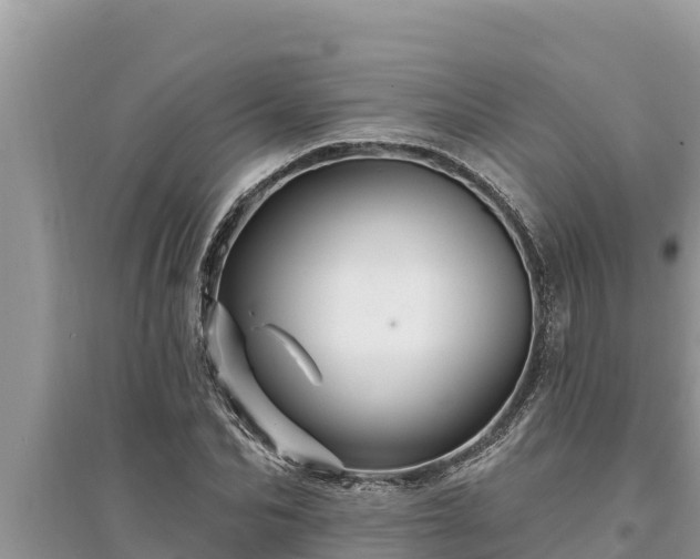 X0000095550974200712211406