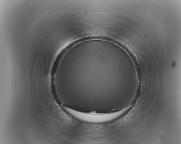 X0000095550975200712211406