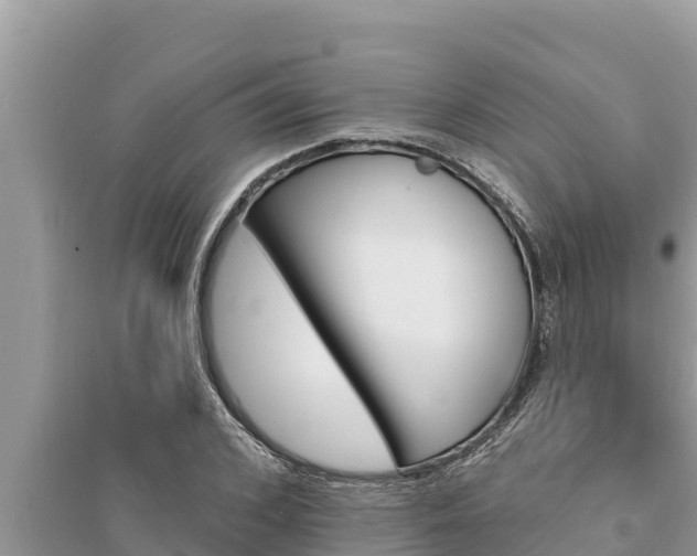 X0000095550976200712211406