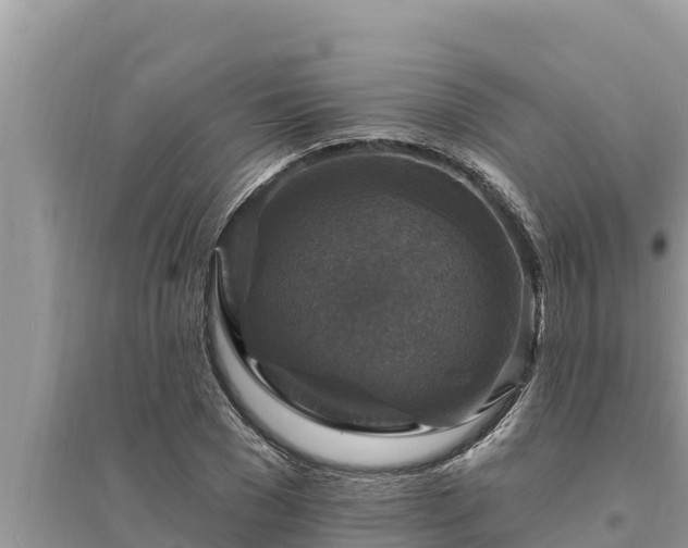 X0000095550977200712211406