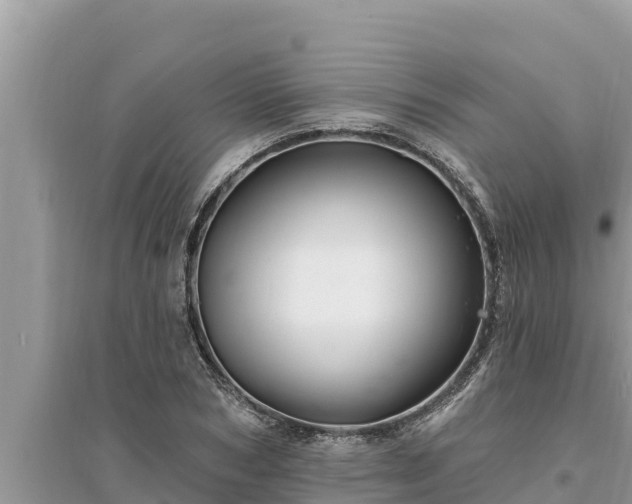 X0000095550978200712211406