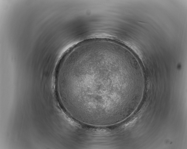 X0000095550979200712211406