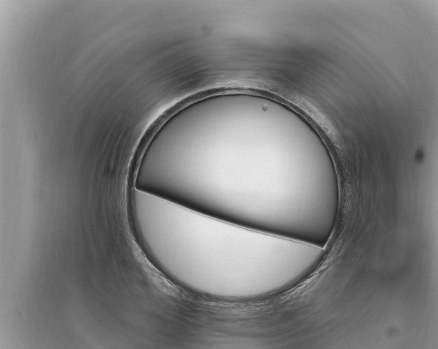 X0000095550980200712211406