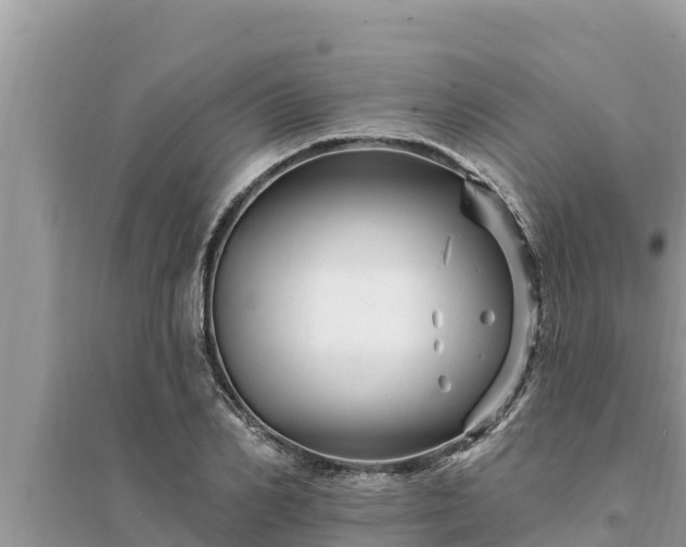 X0000095550982200712211406