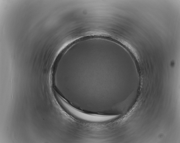 X0000095550983200712211406