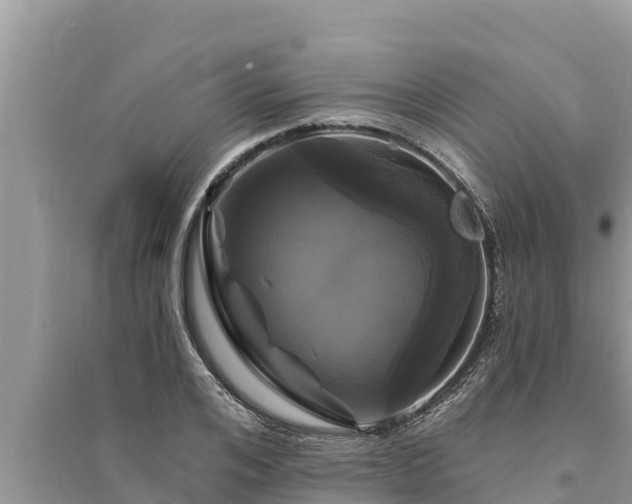 X0000095550984200712211406