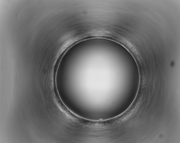 X0000095550986200712211406