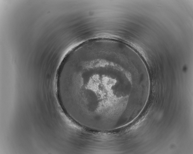 X0000095550987200712211406