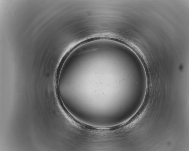 X0000095550989200712211406