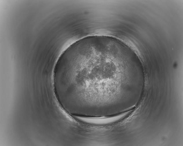 X0000095550990200712211406