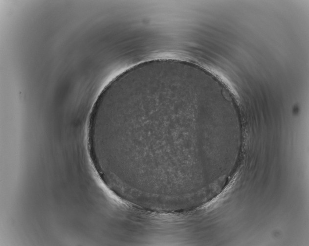 X0000095550991200712211406