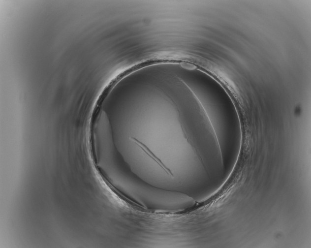 X0000095550992200712211406