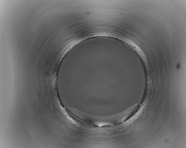 X0000095550993200712211406