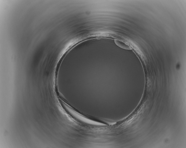 X0000095550994200712211406