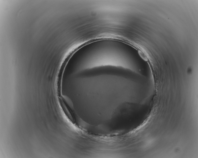 X0000095550995200712211406