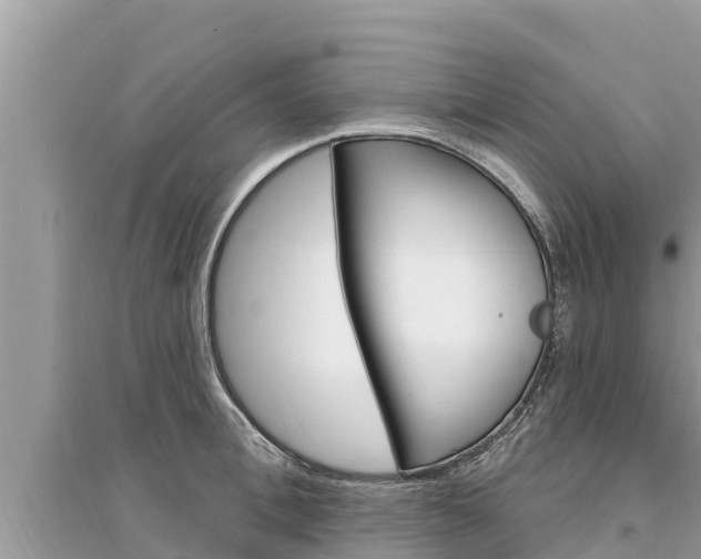 X0000095550996200712211405