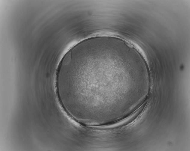 X0000095550997200712211405