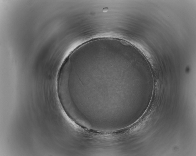 X0000095550998200712211405