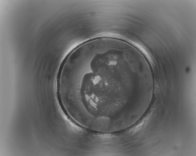 X0000095550999200712211405