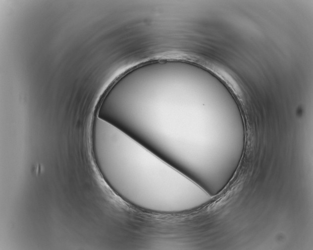 X0000095551000200712211405