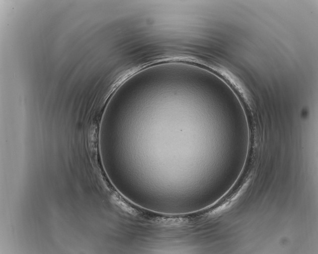 X0000095551001200712211405