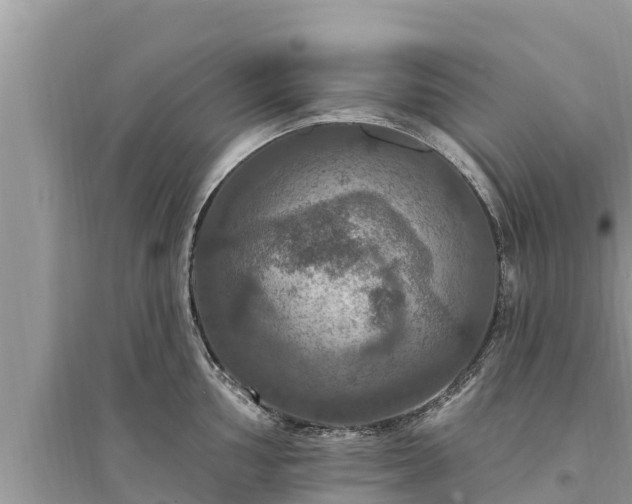 X0000095551002200712211405