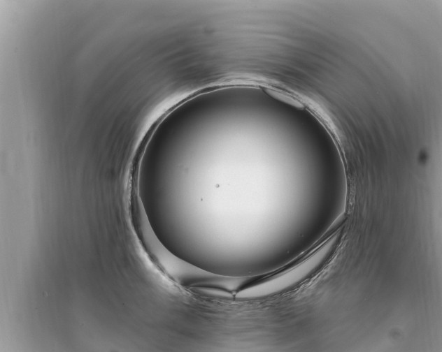 X0000095551003200712211405