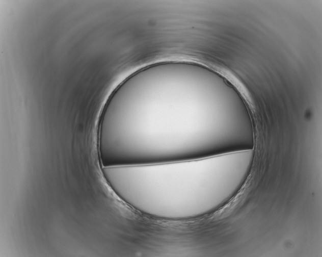 X0000095551004200712211405