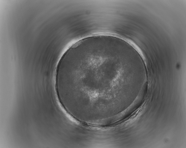 X0000095551005200712211405