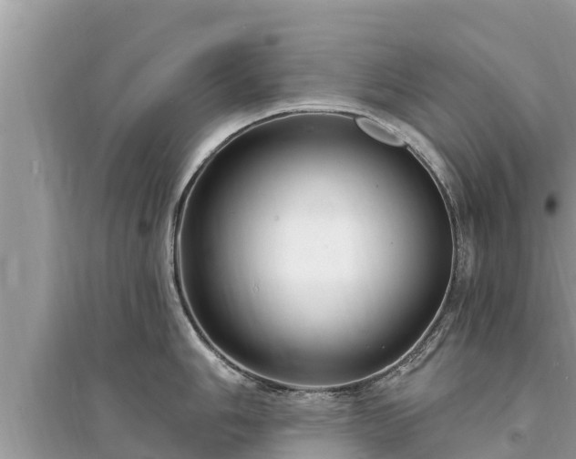 X0000095551006200712211405