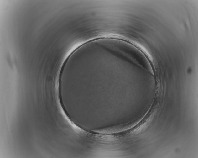 X0000095551007200712211405