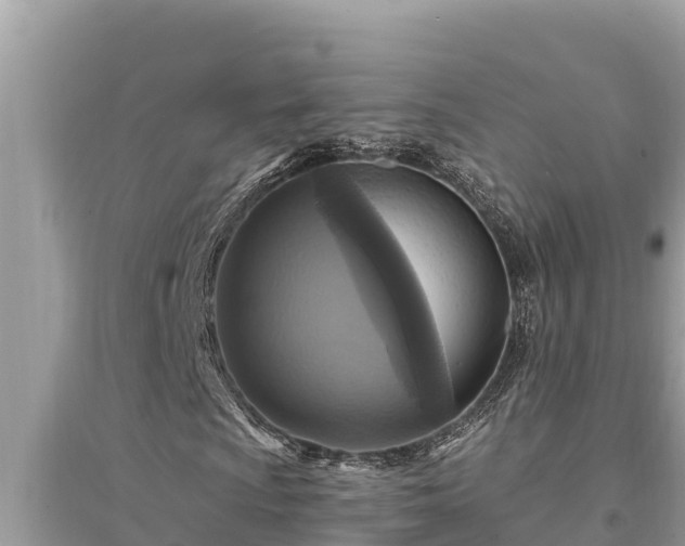 X0000095551009200712211405