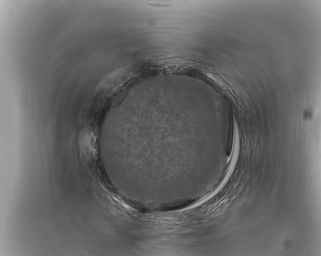 X0000095551010200712211405