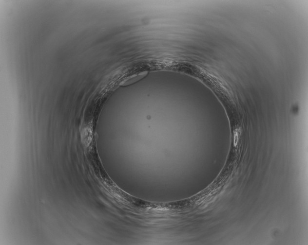 X0000095551011200712211405