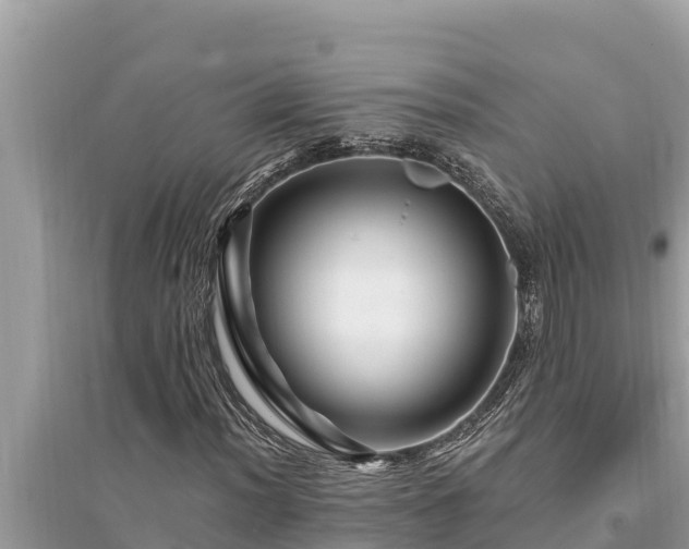 X0000095551012200712211405