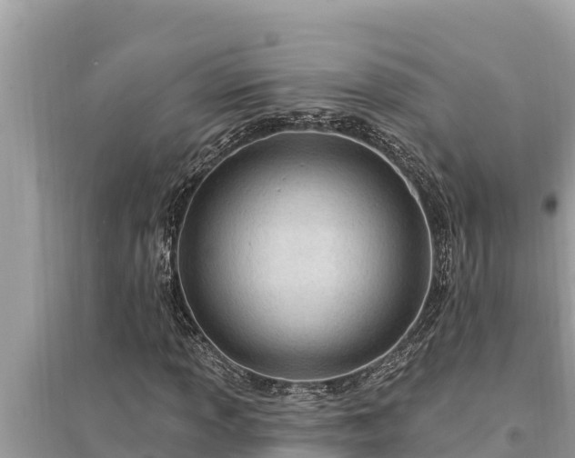 X0000095551013200712211405