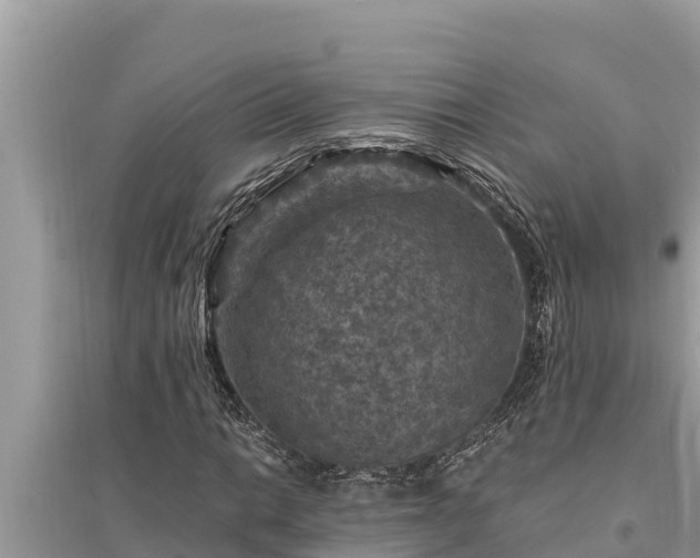 X0000095551014200712211405