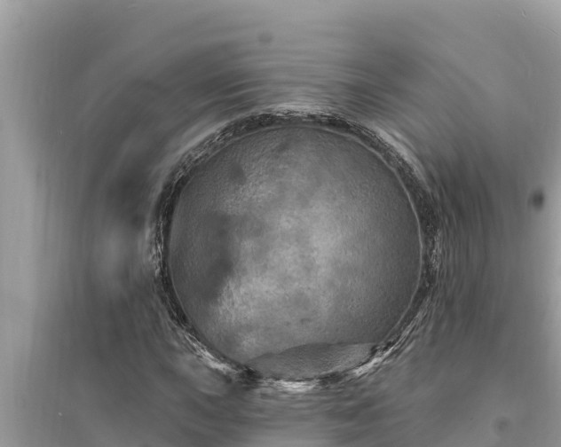 X0000095551015200712211405