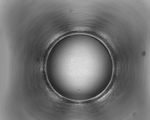 X0000095551017200712211405