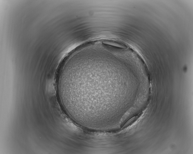 X0000095551018200712211405