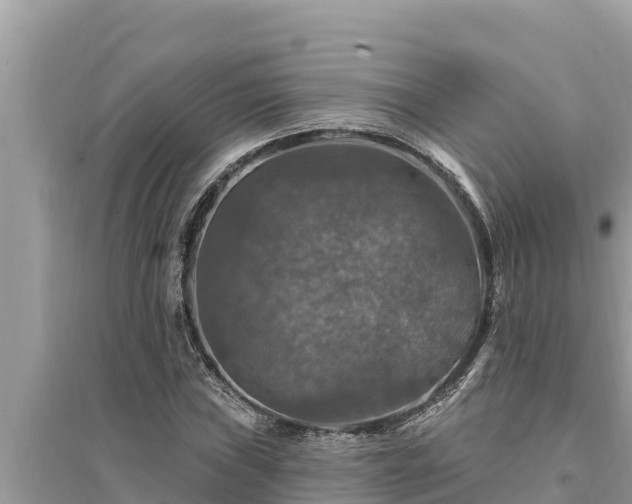 X0000095551019200712211405