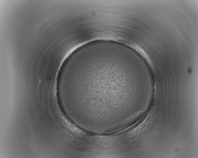 X0000095551020200712211405