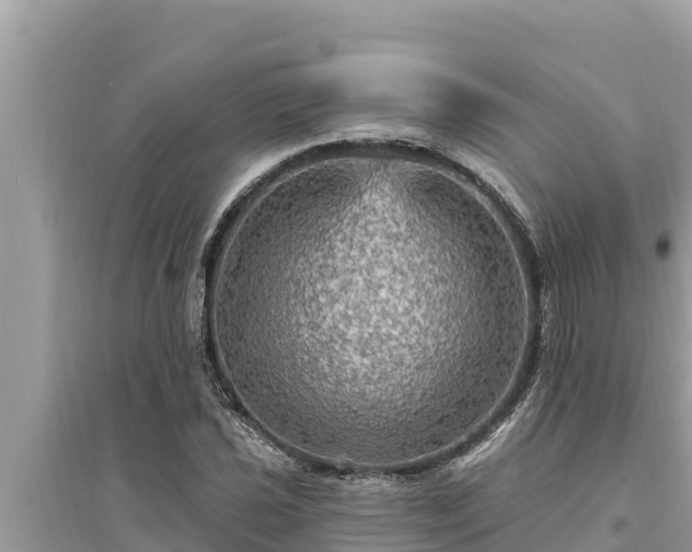 X0000095551021200712211405