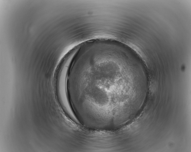 X0000095551022200712211405