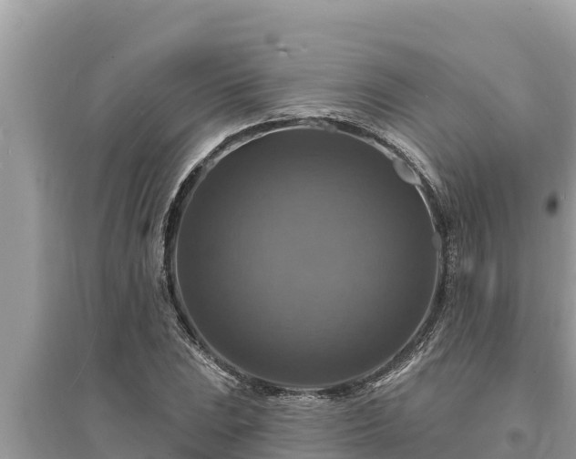 X0000095551023200712211405