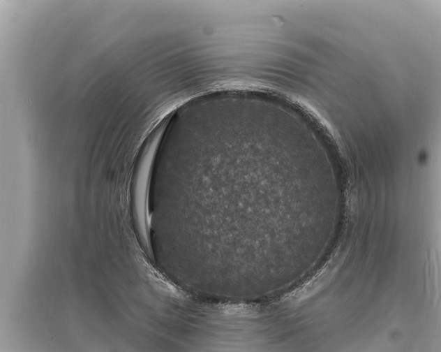 X0000095551025200712211405