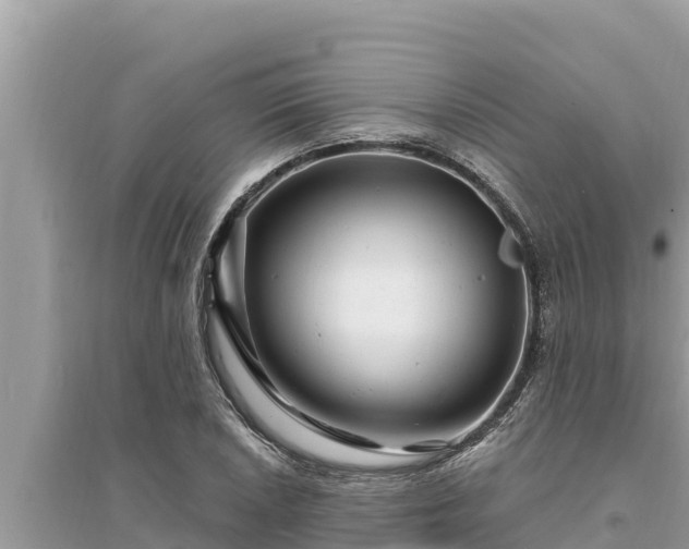 X0000095551026200712211405