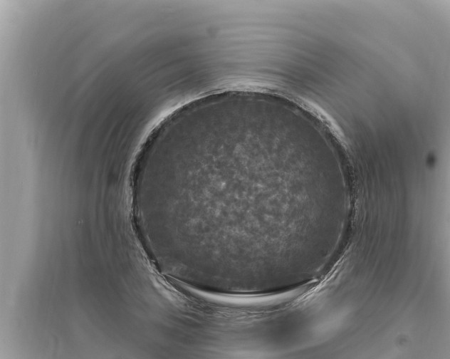 X0000095551027200712211405